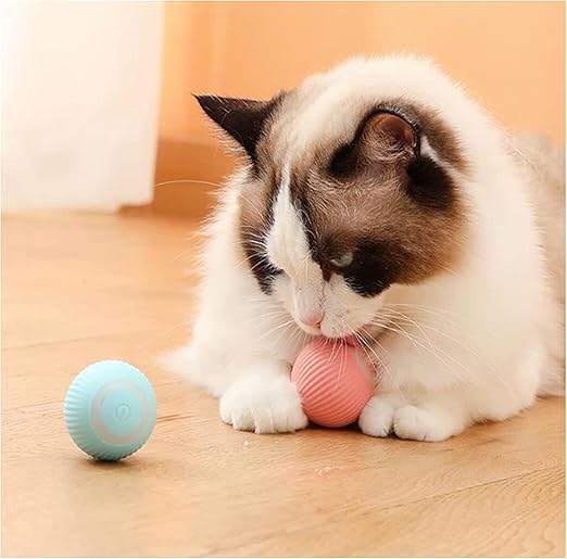 Automatic Rolling Ball for Kitten & Dogs | Toy