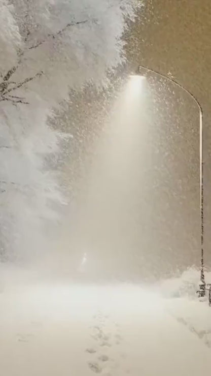 Snowy Street Lamp